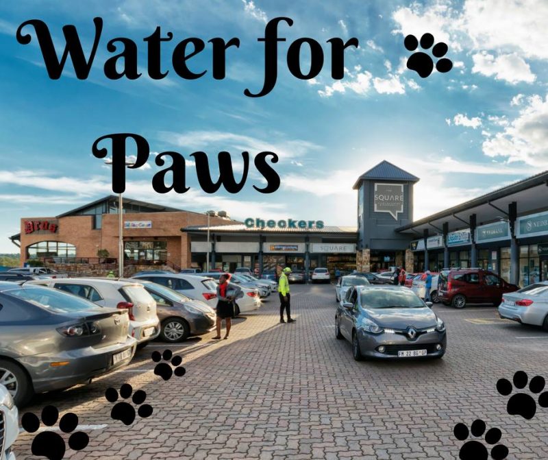 Sunninghill Square Shopping Centre | Thank You: Water for Paws - Helping Cape Town, parkinglot , shopping center